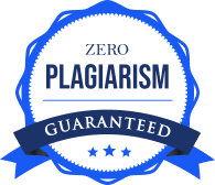 Plagiarism-Free icon